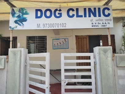 Dog clinic Rathi Nagar Amravati business photograph