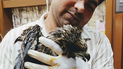 Pet Lovers Care Clinic and Surgical Centre business photograph