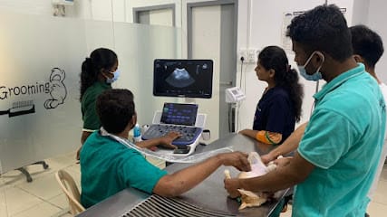 Lucky Paws Veterinary Hospital business photograph