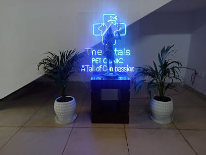 The Vitals pet clinic business photograph