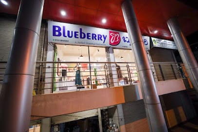 Blueberry business photograph