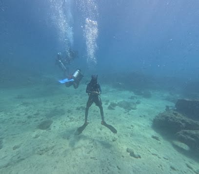 HAVELOCK FARMS SCUBA business photograph