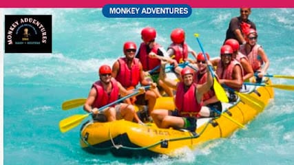 Monkey Adventure business photograph