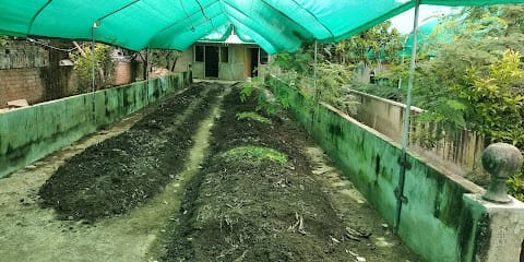 Neera Organic business photograph