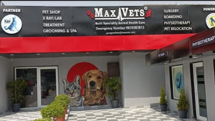 Max Vets Animal Hospital and Clinic Palam Vihar Gurugram business photograph