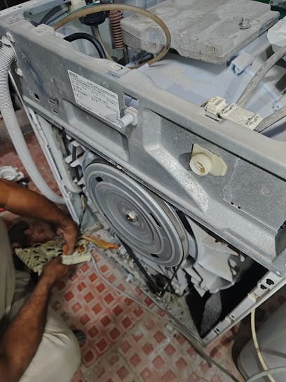 DOLPHIN SERVICE business photograph