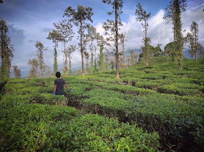 Asdani Adventures business photograph