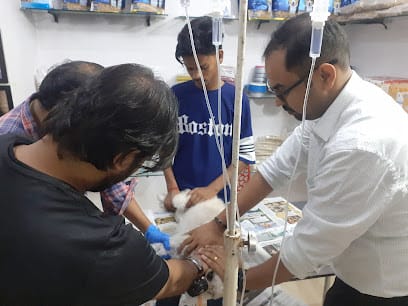 K K Pet Clinic Indirapuram business photograph