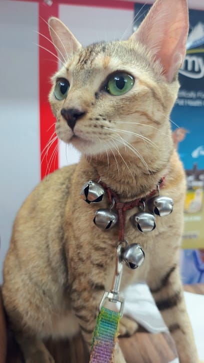 PAW & FUR PET'S CLINIC business photograph