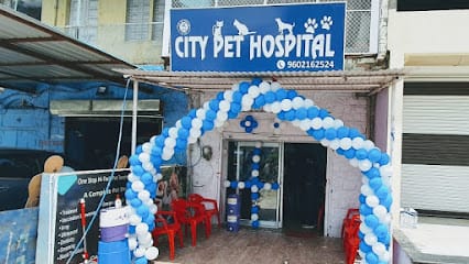 City pet hospital business photograph