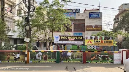 Bark N Brush – Pet Store & Grooming in Patna business photograph