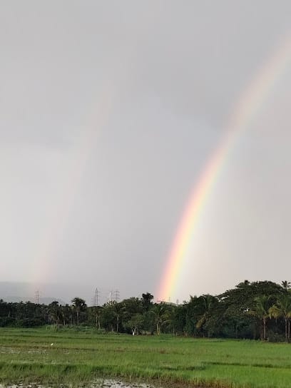 Pure and clear drinking water thrissur business photograph
