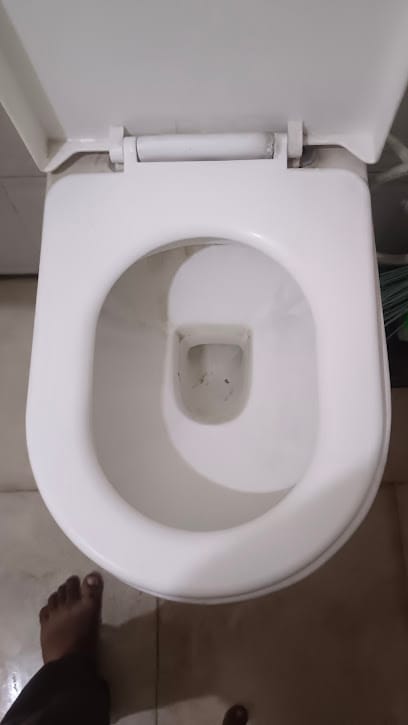 Toilet Deep Cleaning business photograph