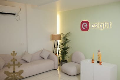 Esight Solutions business photograph