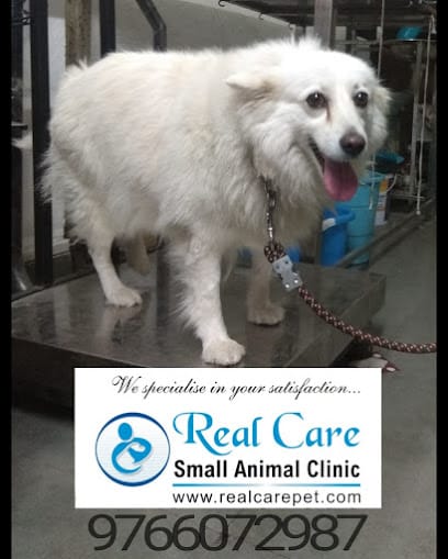 Real Care Small Animal Clinic business photograph
