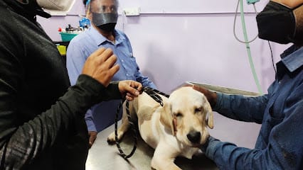 PfA Pet Care & Clinic business photograph