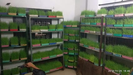 Natural Juice Center business photograph