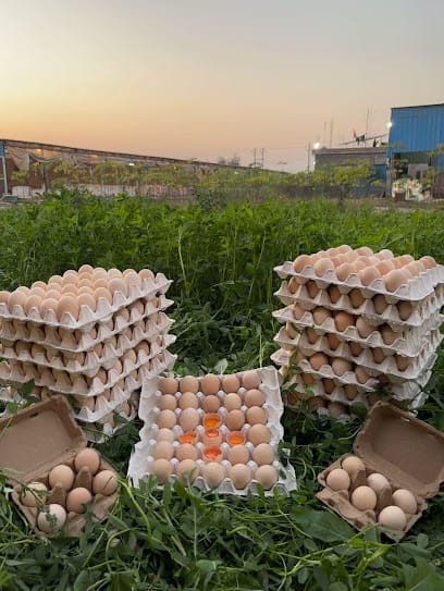 K.N.C. Organics And Ventures business photograph