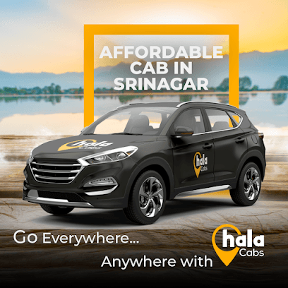 Hala Car Rental | Affordable Cab Services in Kashmir | Best Cabs in Srinagar business photograph