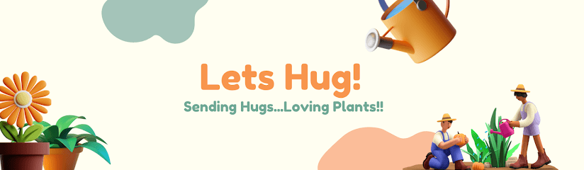 Hug A Plant - Landscaping | Indoor & Outdoor & Fruit Plants business photograph