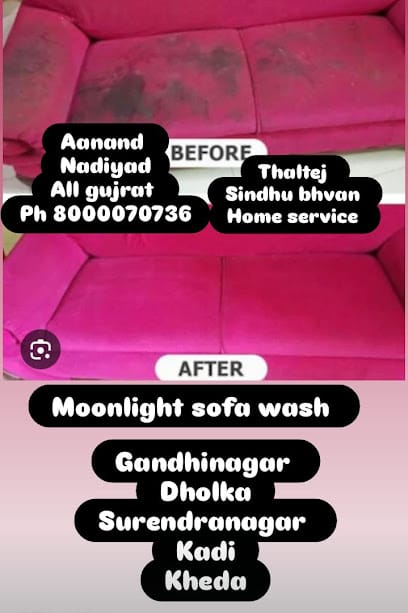 Moonlight sofa cleaners business photograph