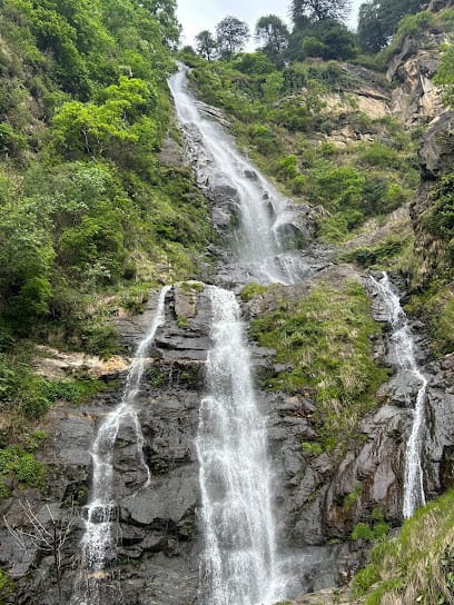 WildTrip Adventure - Trekking, Tour and Picnic Organisers business photograph