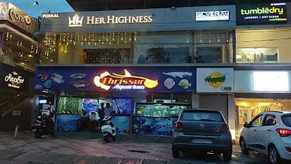 Her Highness Clothing Co. business photograph