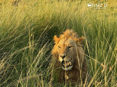 IMAD Travel Pvt. Ltd business photograph