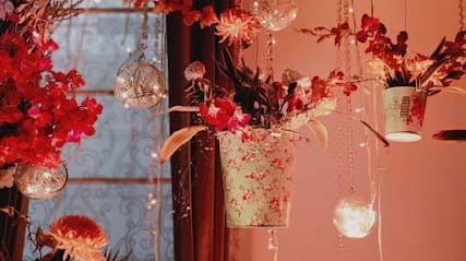 Birthday party planner in ludhiana business photograph