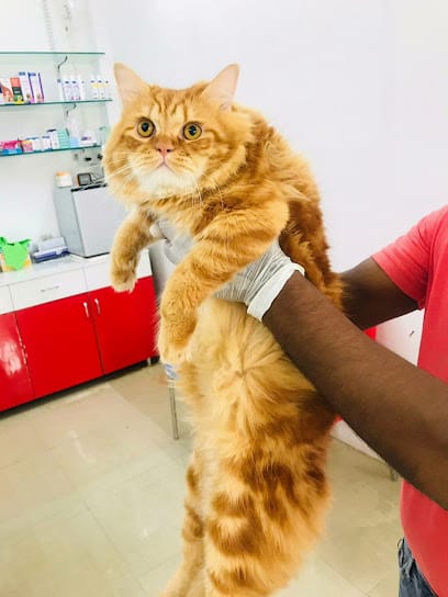 Blue Pulse Pet Clinic business photograph