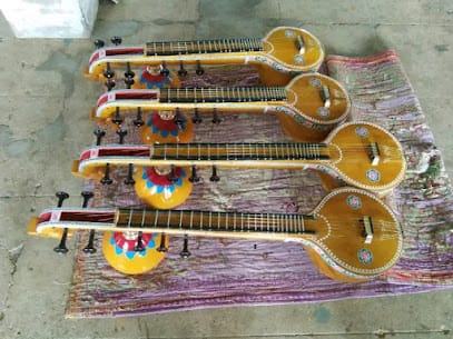 BOBBILI VEENA WORKS business photograph