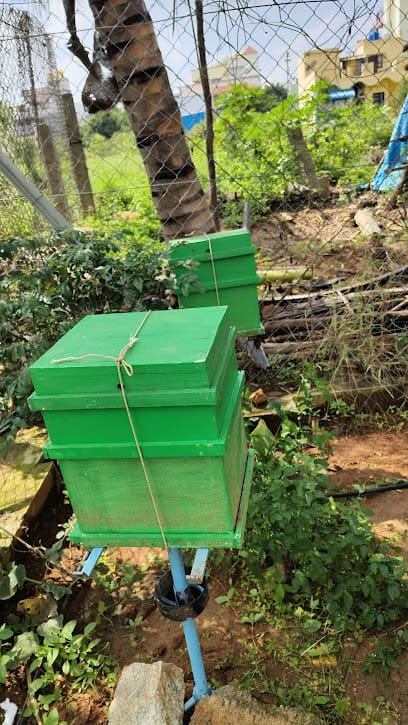 Pure Natural 🍯Honey 🐝Bee Farming In HOSUR business photograph