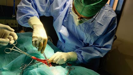 SKRD Veterinary Hospital business photograph