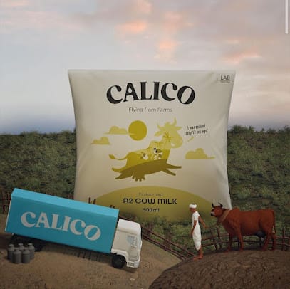 Calico business photograph