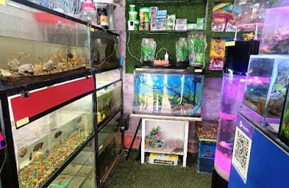 Aqua zone the aquarium gallery business photograph