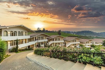 Mango Hill Shola Ooty business photograph