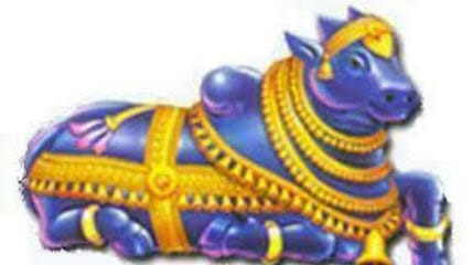 Sri Nandeeshwara agro agencies business photograph