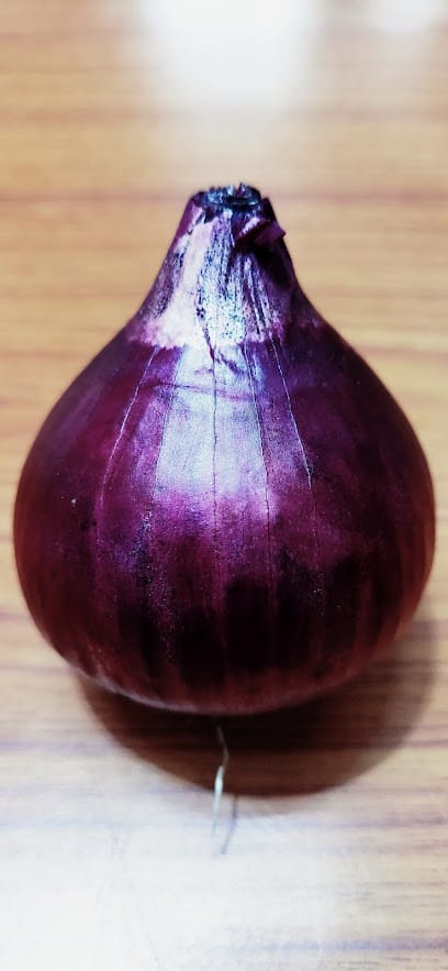 IKON SEEDS business photograph