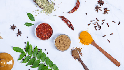 Homeline organic business photograph