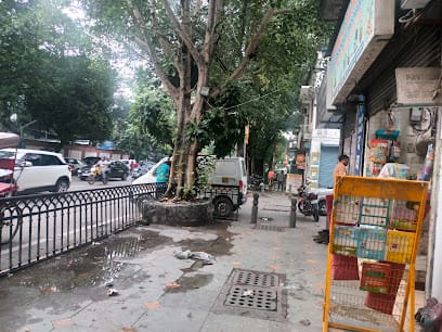 Sky it solutions business photograph