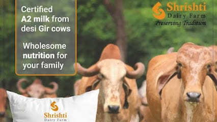 Shrishti Dairy business photograph