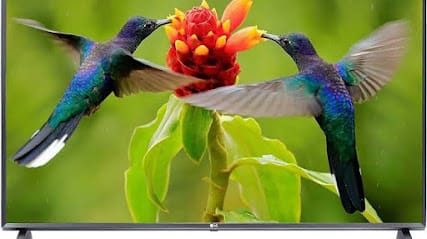 LED TV Service center salem business photograph