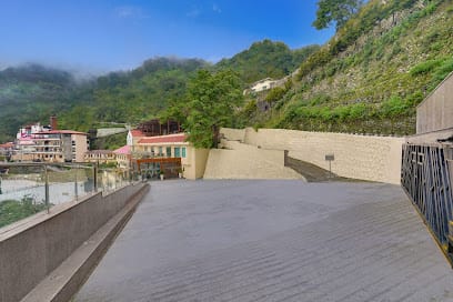 Lemon Tree Resort Mussoorie business photograph