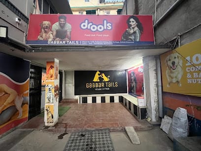 GABBAR TAILS business photograph