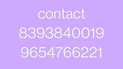 tyagi dog boarding(hostel) and online pet shop and sale - purchase business photograph