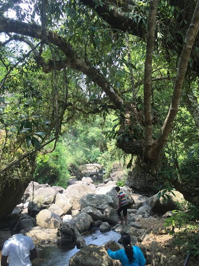 Discover Wayanad business photograph