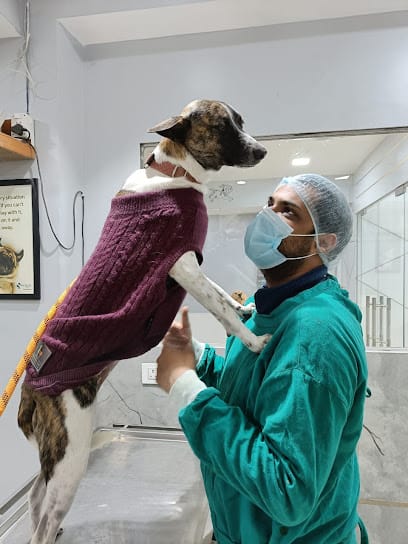 Peteazy business photograph