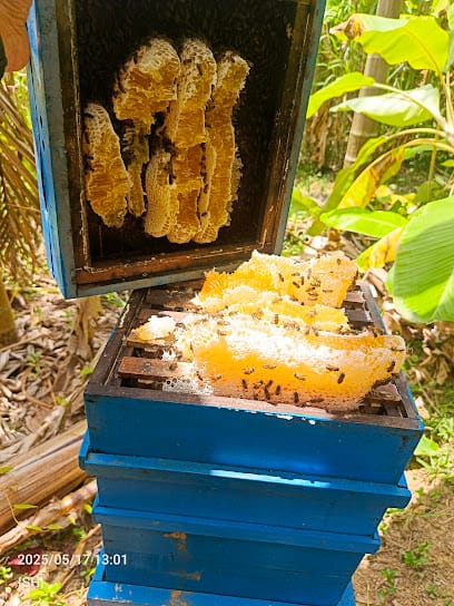 Santosh Honey Bee Farm business photograph