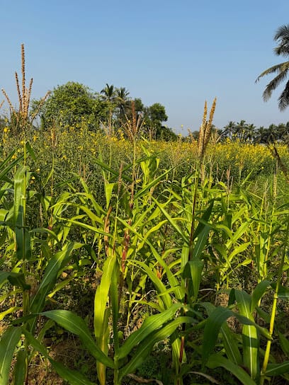 The Art Farm business photograph