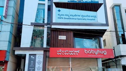 CUPA Small Animal Specialty Hospital business photograph